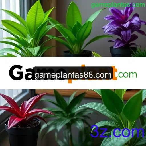 Ofertas exclusivas